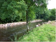 Rock Armour river bank reinforcement - River Exe near Bampton.